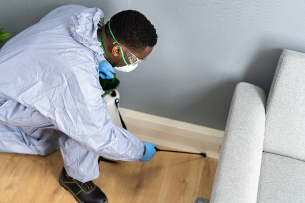 Professional Pest Control in Floral City, FL